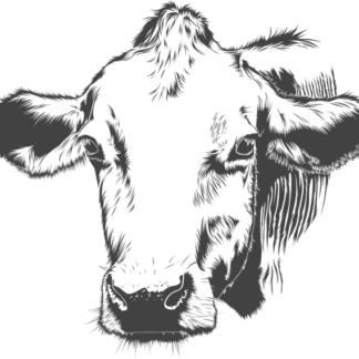 Local farm-sourced Beef